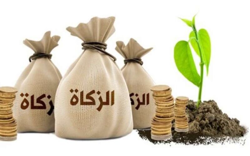 كم زكاة الفطر في السعودية؟! قيمة زكاة الفطر وحكم إخراجها نقدًا