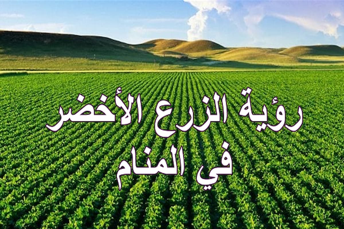 ماذا يعني النباتات الخضراء في المنام